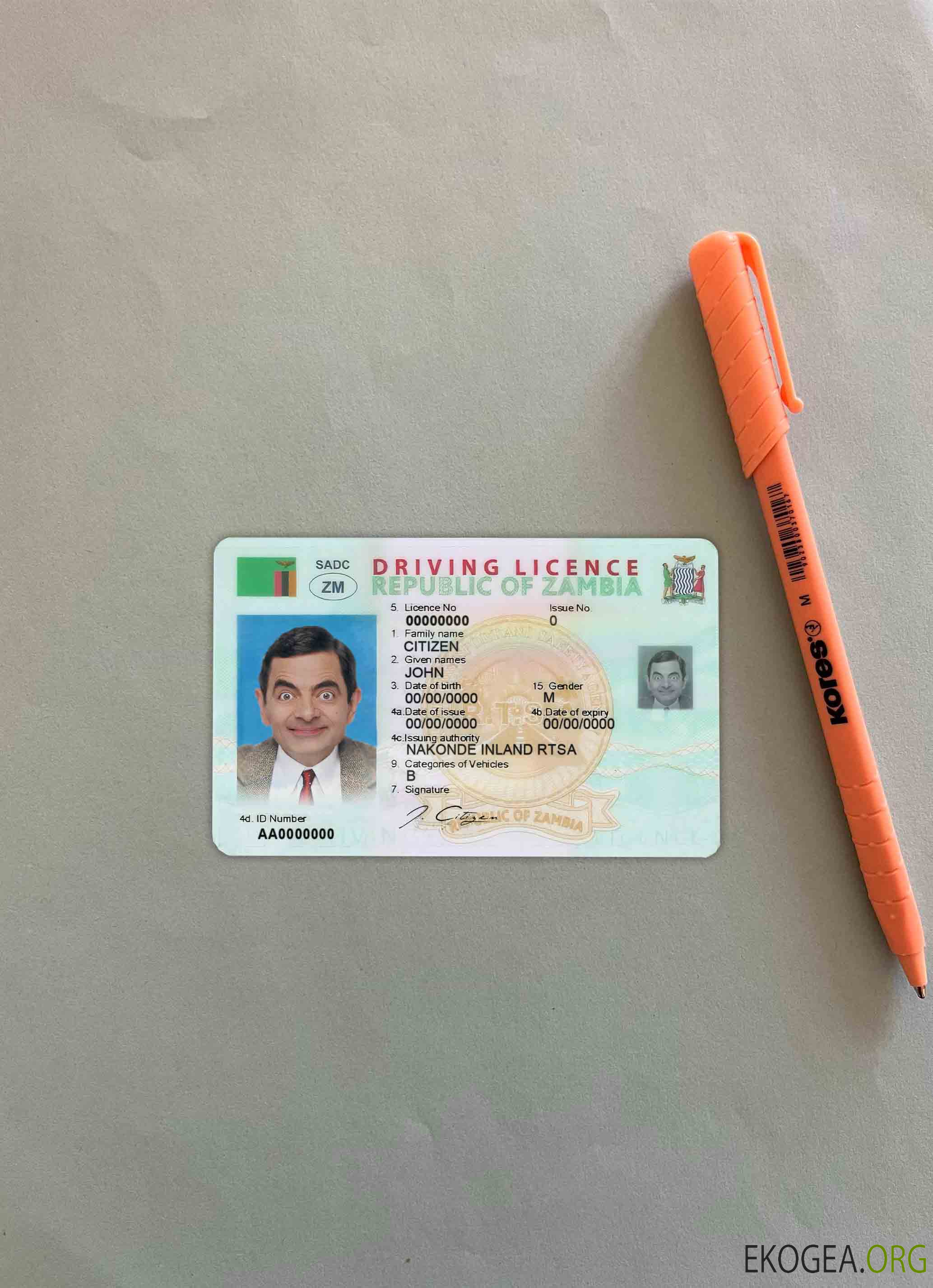 Zambie DL photolook AVANT